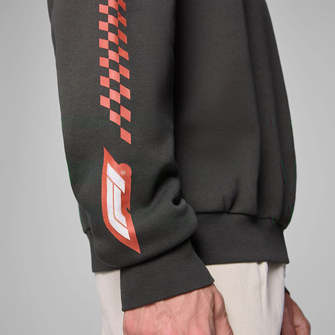 F1 FW Heritage Graphic Crew Sweat