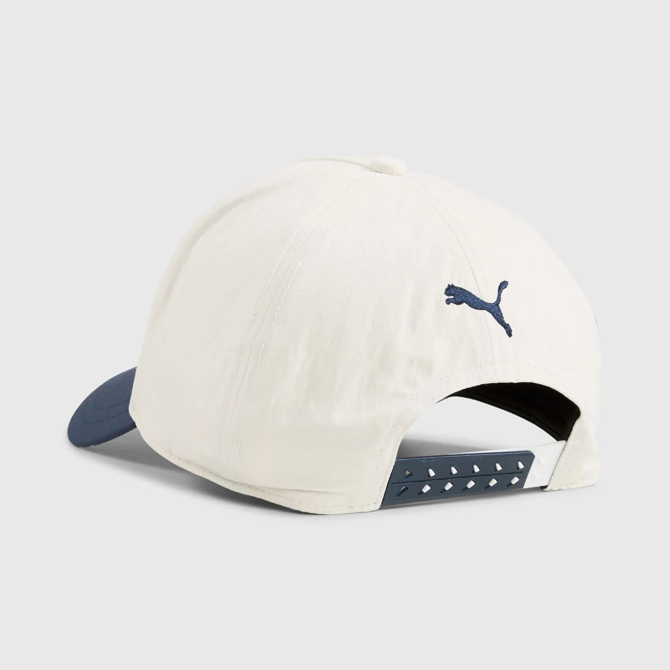 F1 FW Silverstone SE Cap