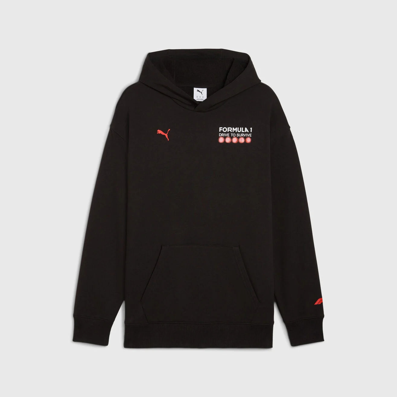 F1 FW DTS Hoodie Relaxed