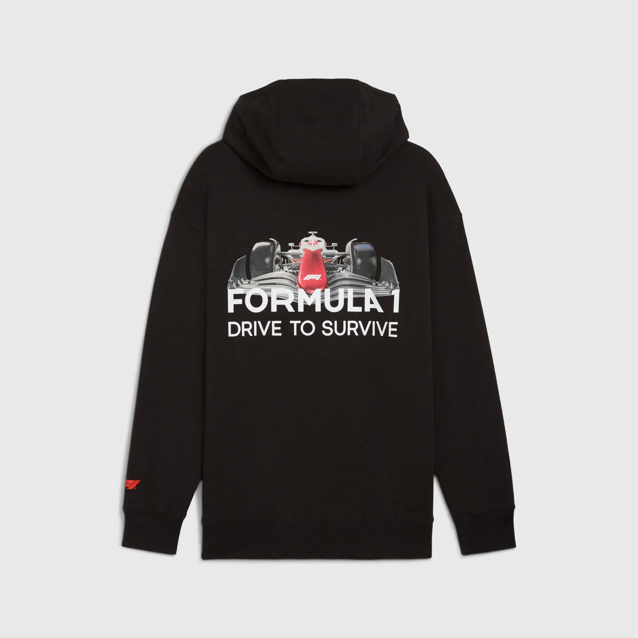 F1 FW DTS Hoodie Relaxed