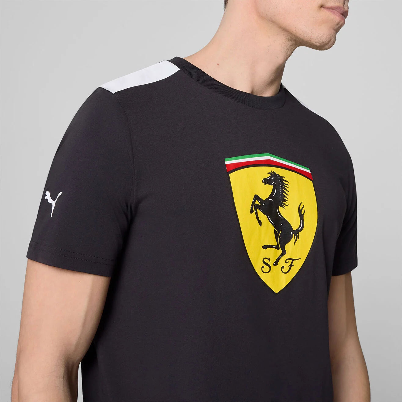 SF FW Men's Large Shield Tee