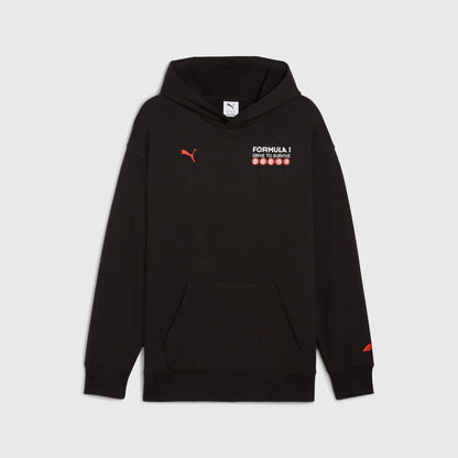 F1 FW DTS Hoodie Relaxed